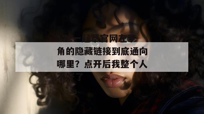 17c一起草官网左下角的隐藏链接到底通向哪里？点开后我整个人不好了
